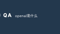 尊龙凯时的战略支点